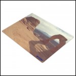 Net-Steals New, Large, Glass Cutting Board from Europe - Desert Scenery