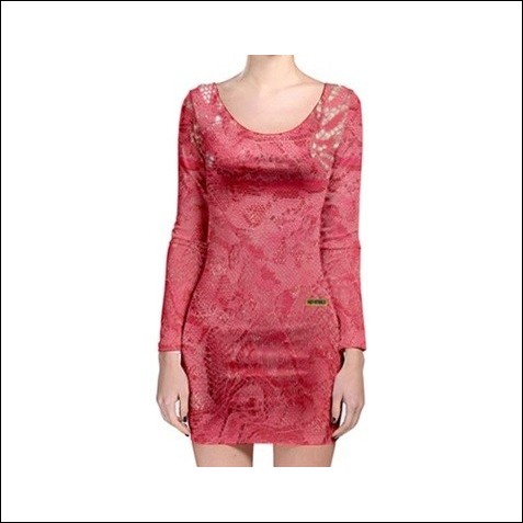 Net-Steals New for 2024, Long Sleeve Bodycon Dress - Passion Lacey